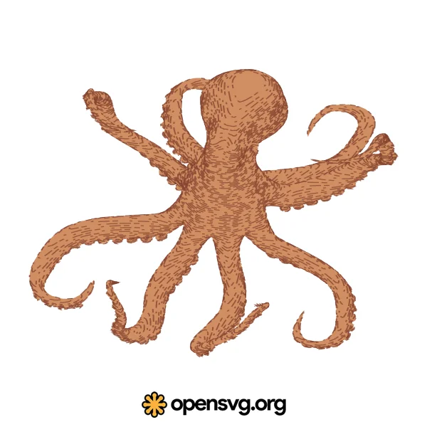 Octopus Animal
