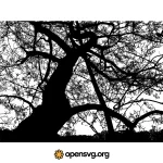 Big Tree Branches Silhouette Svg vector