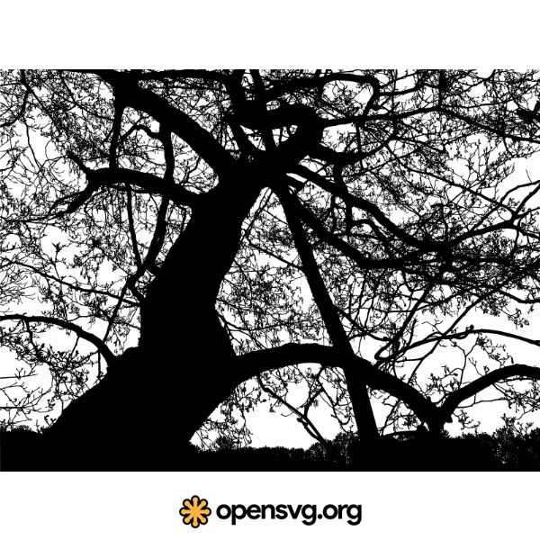 Big Tree Branches Silhouette
