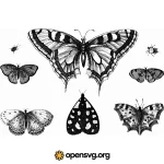 Butterflies Animal Nature Collection Svg vector