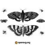 Nature Butterflies Illustration Set Svg vector