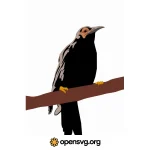 Crow On Branch, Bird Animal Svg vector