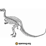 Dinosaur Fossil, Animal Skeleton Character Svg vector