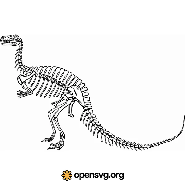 Dinosaur Fossil, Animal Skeleton Character