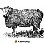 Farm Sheep Illustration Svg vector