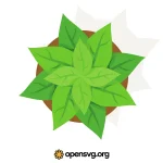 Green Leaf Plant Top View Svg vector