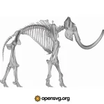 Mammoth Skeleton, Animal Anatomy Character Svg vector