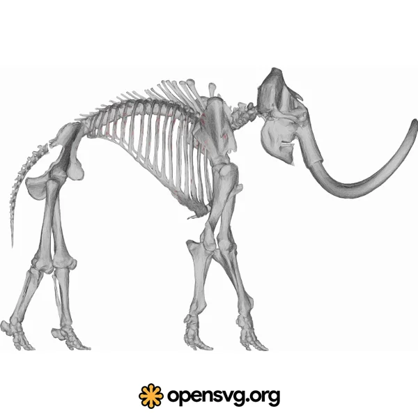 Mammoth Skeleton, Animal Anatomy Character
