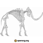 Mammoth Skeleton Svg vector