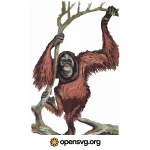 Orangutan With Branch Of Tree, Gorilla Animal Svg vector