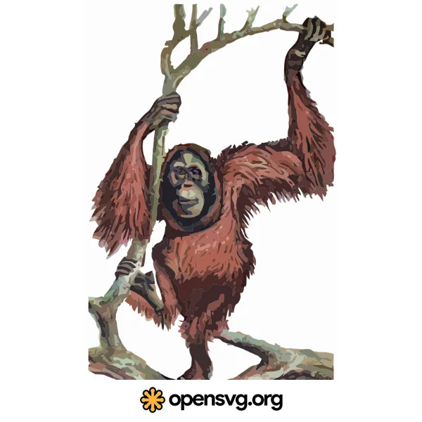 Orangutan With Branch Of Tree, Gorilla Animal