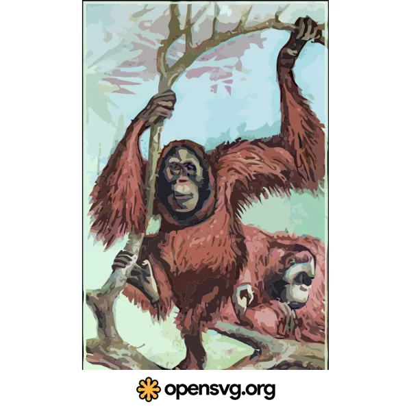 Illustration Of Orangutans Animal, Gorilla Animal