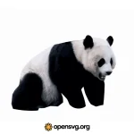Panda Bear Svg vector