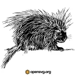 Porcupine Rodents Animal Illustration Svg vector
