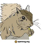 Squirrel Eating Animal Svg vector