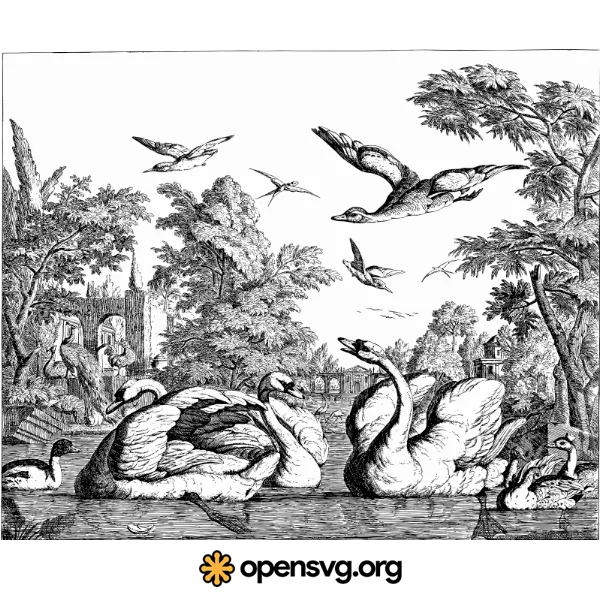 Swans In A Pond Illustration