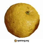 Yellow Lemon Fruit Svg vector